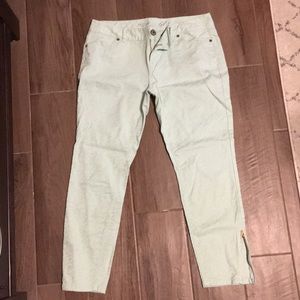 7/8 Seaform Green Pants